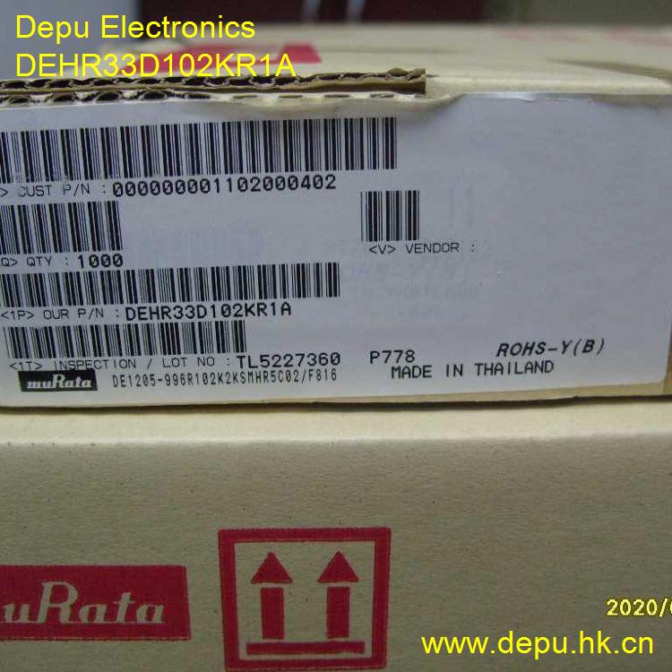 DEHR33D102KR1A